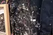 PLUS_someone's dark blue work wear