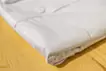 Wrinkle Shapes_#1