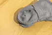 Wrinkle shape_#5