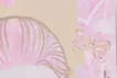 Decorume 7p