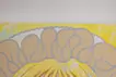 Decorume 8y