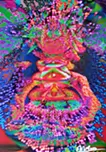 Astral_15