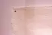 肩線とリボン