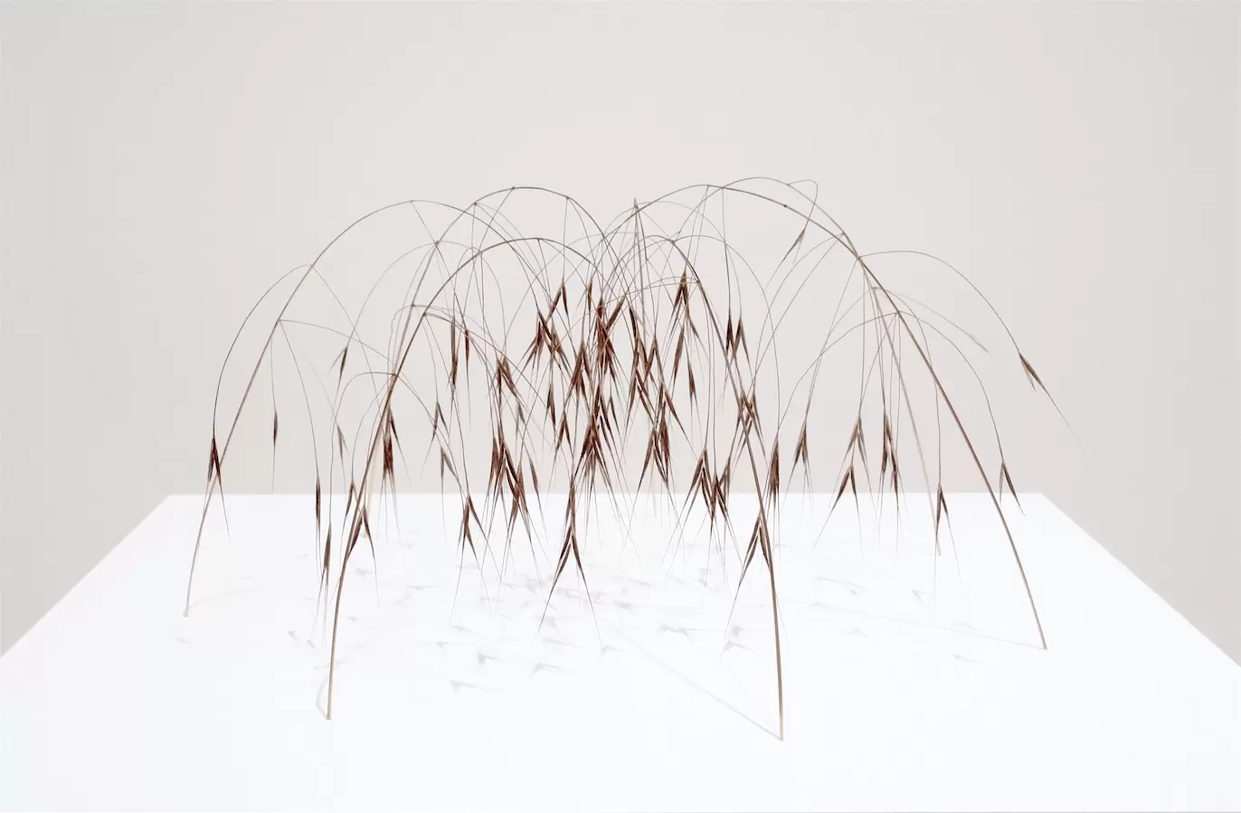 弓のかたち by Christiane Löhr | 現代アートの販売・通販 | ArtSticker