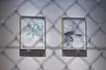 water mirrorの習作_01