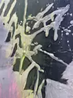 order and chaos