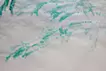 water mirrorの習作_03