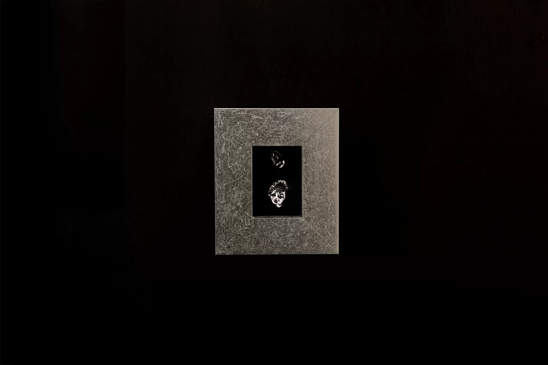 The MOMENT 1