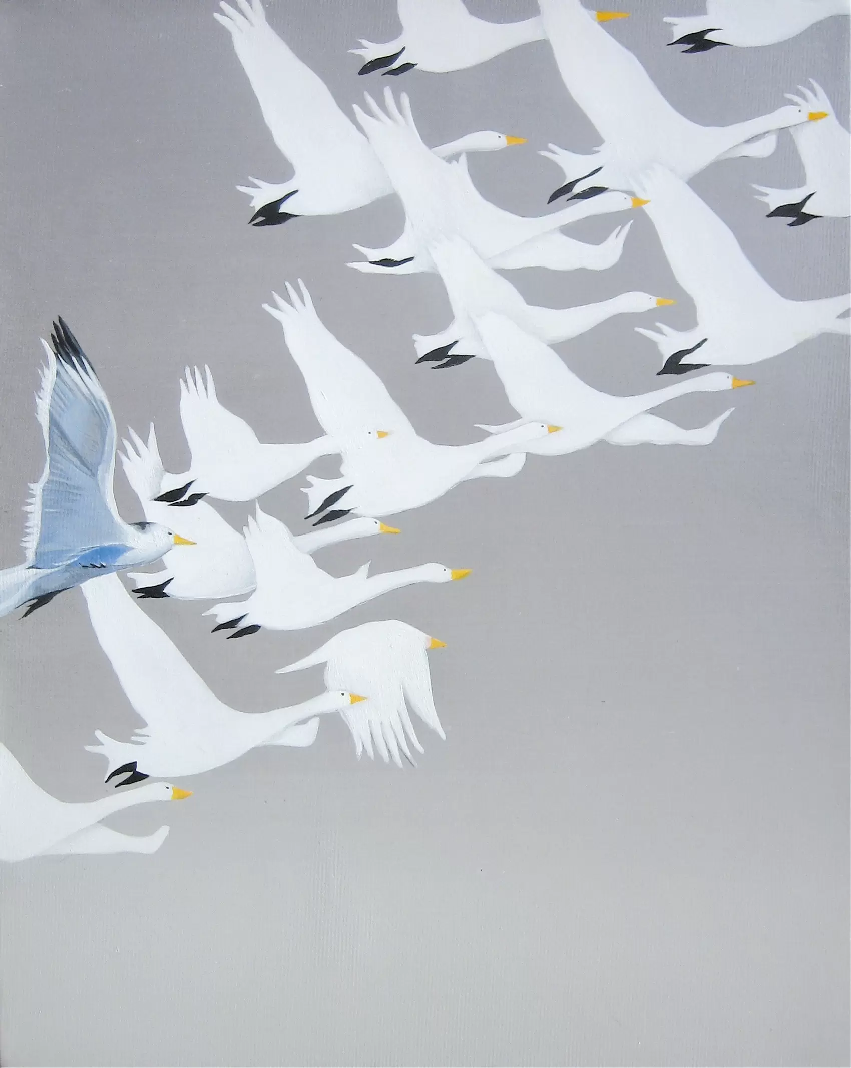 Wondervogel