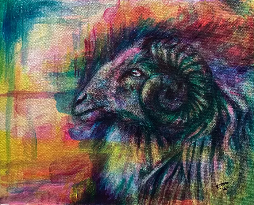 50% wool by kemono gallery