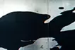 onomatopoeia