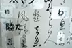 消失と誘発-玉泉帖-