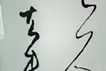 消失と誘発-玉泉帖-