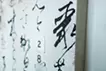 消失と誘発-玉泉帖-