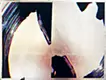 onomatopoeia
