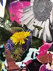 Scramble painting ‘flowers’