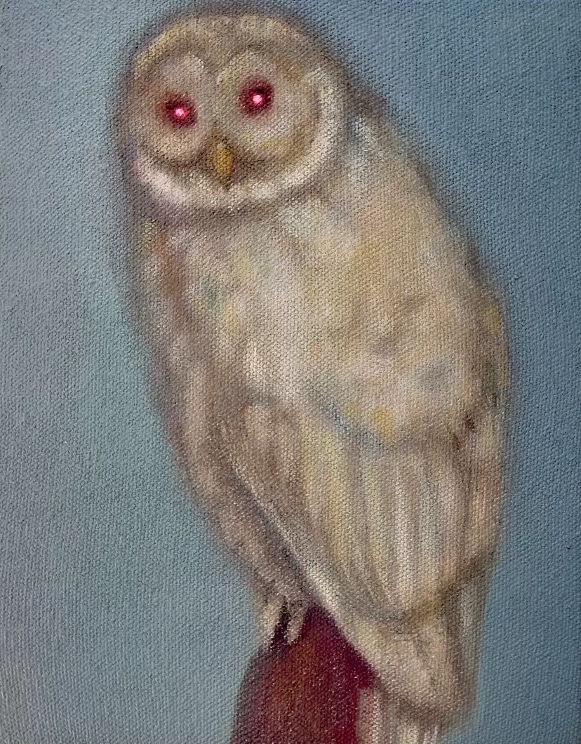 Owl by 朝日 聡子