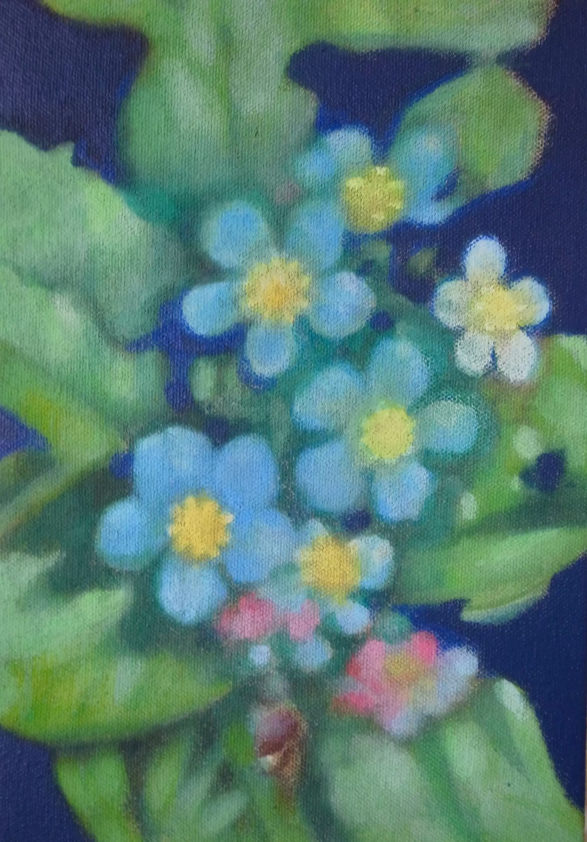 Blue flowers