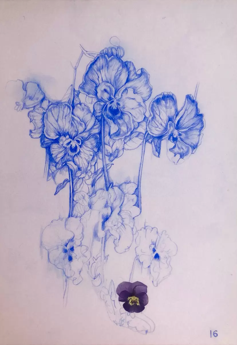 murasaki SIZZLA ドローイング　原画 ドローイングSIZZLA : studio-murasaki official blog