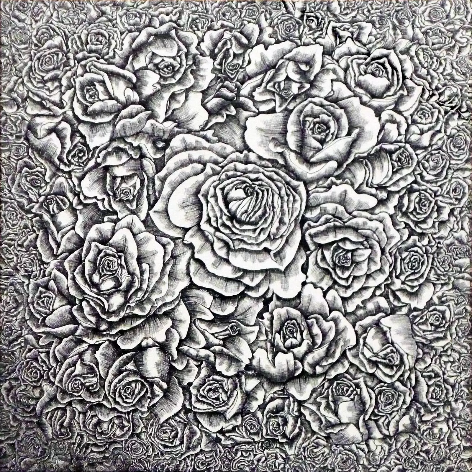 Rose.No.5