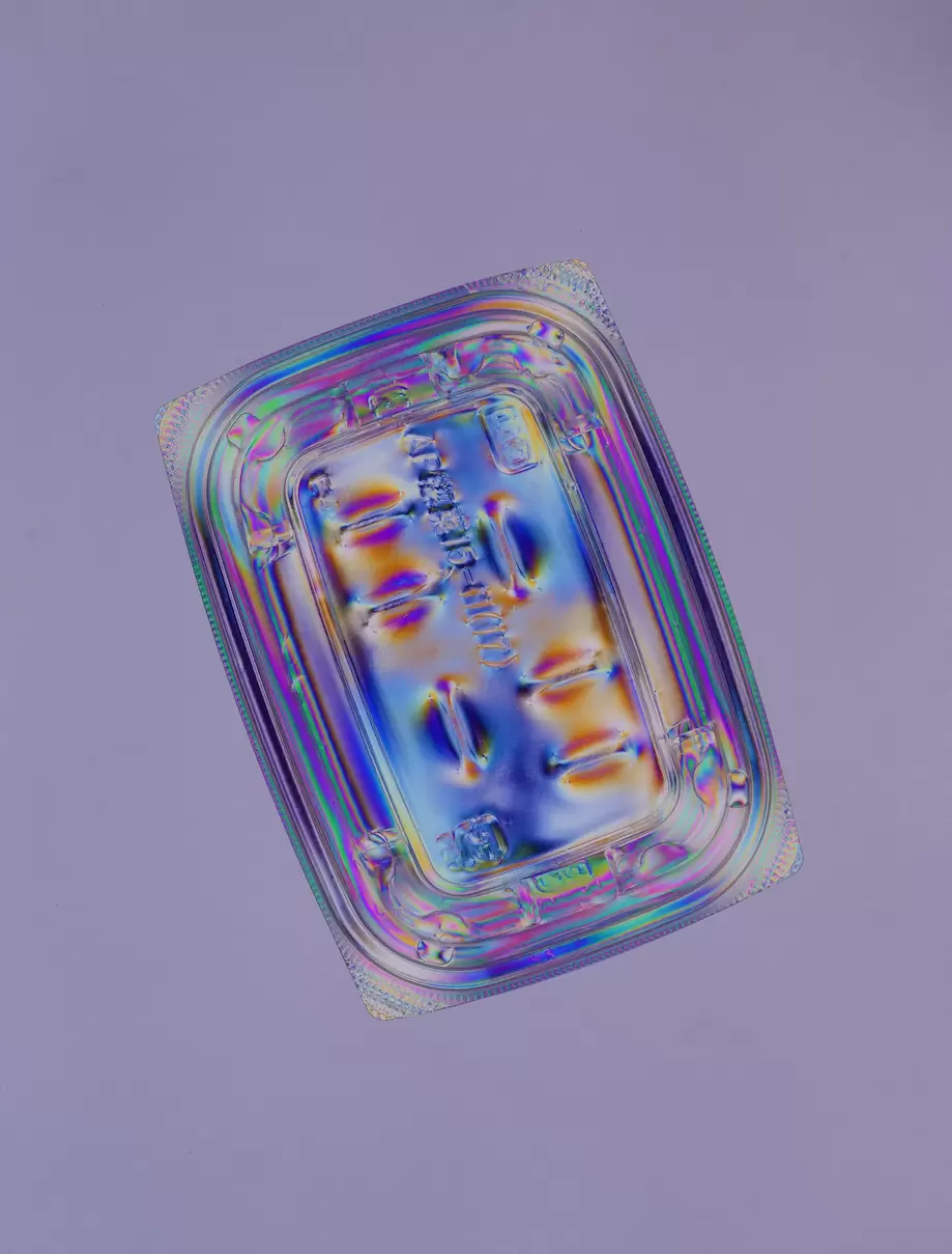 Vision of the Invisible 高野豆腐