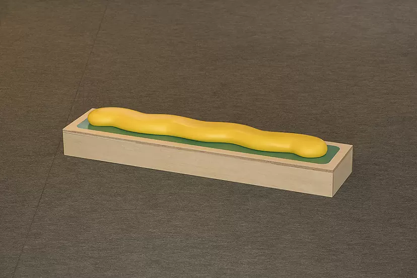 flowerbed(yellow) by 椋本真理子