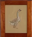Goose