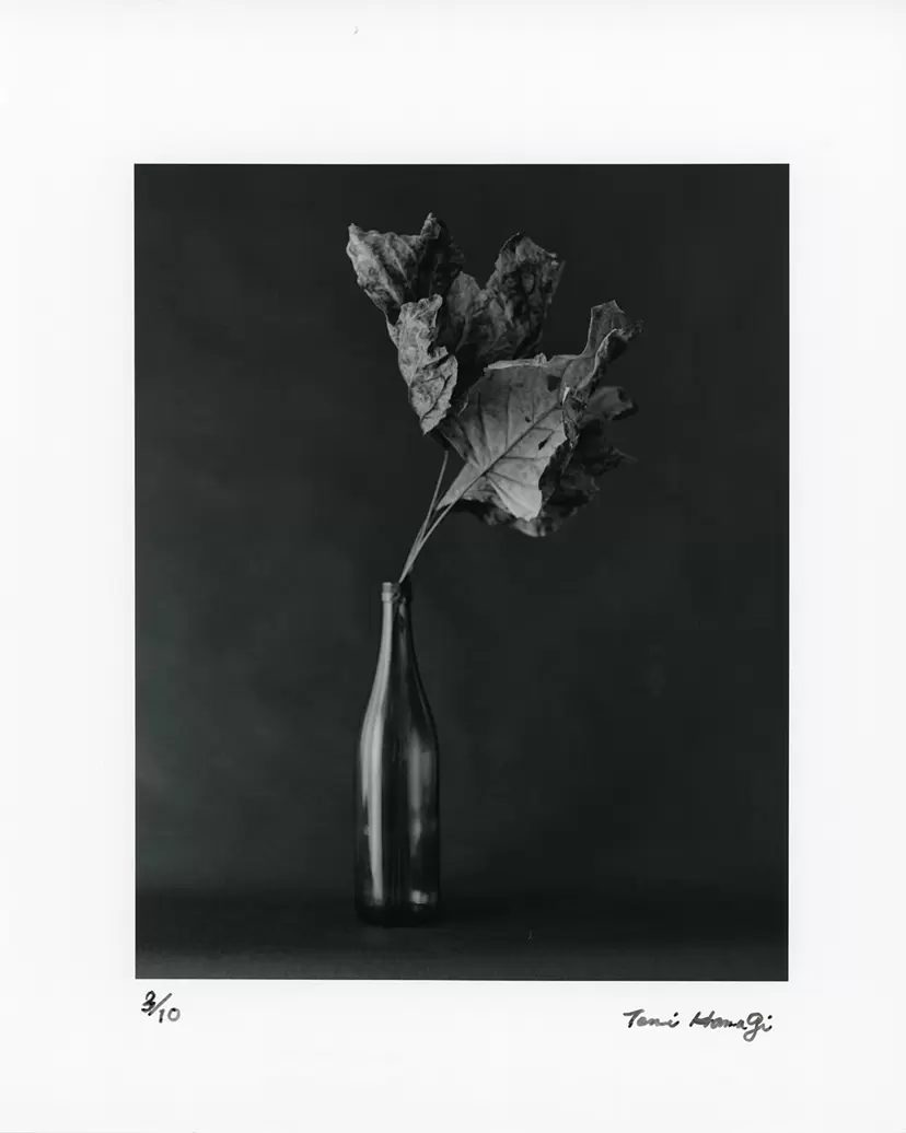 FLEURISME-DEAD LEAF by Tenmi HANAGI