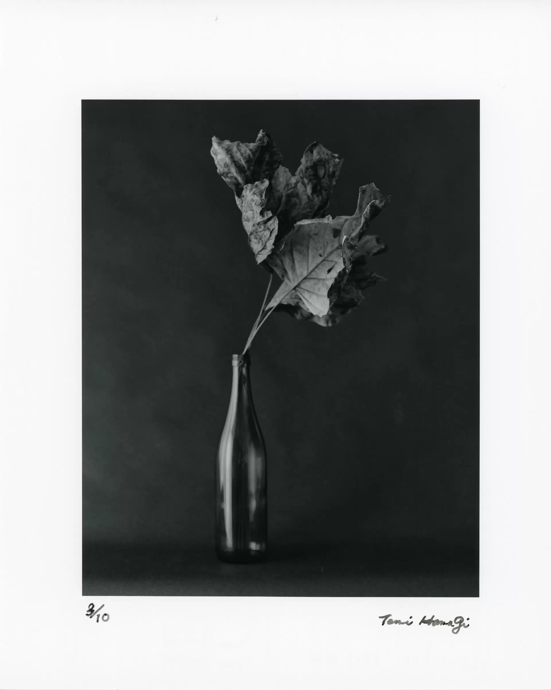 FLEURISME-DEAD LEAF