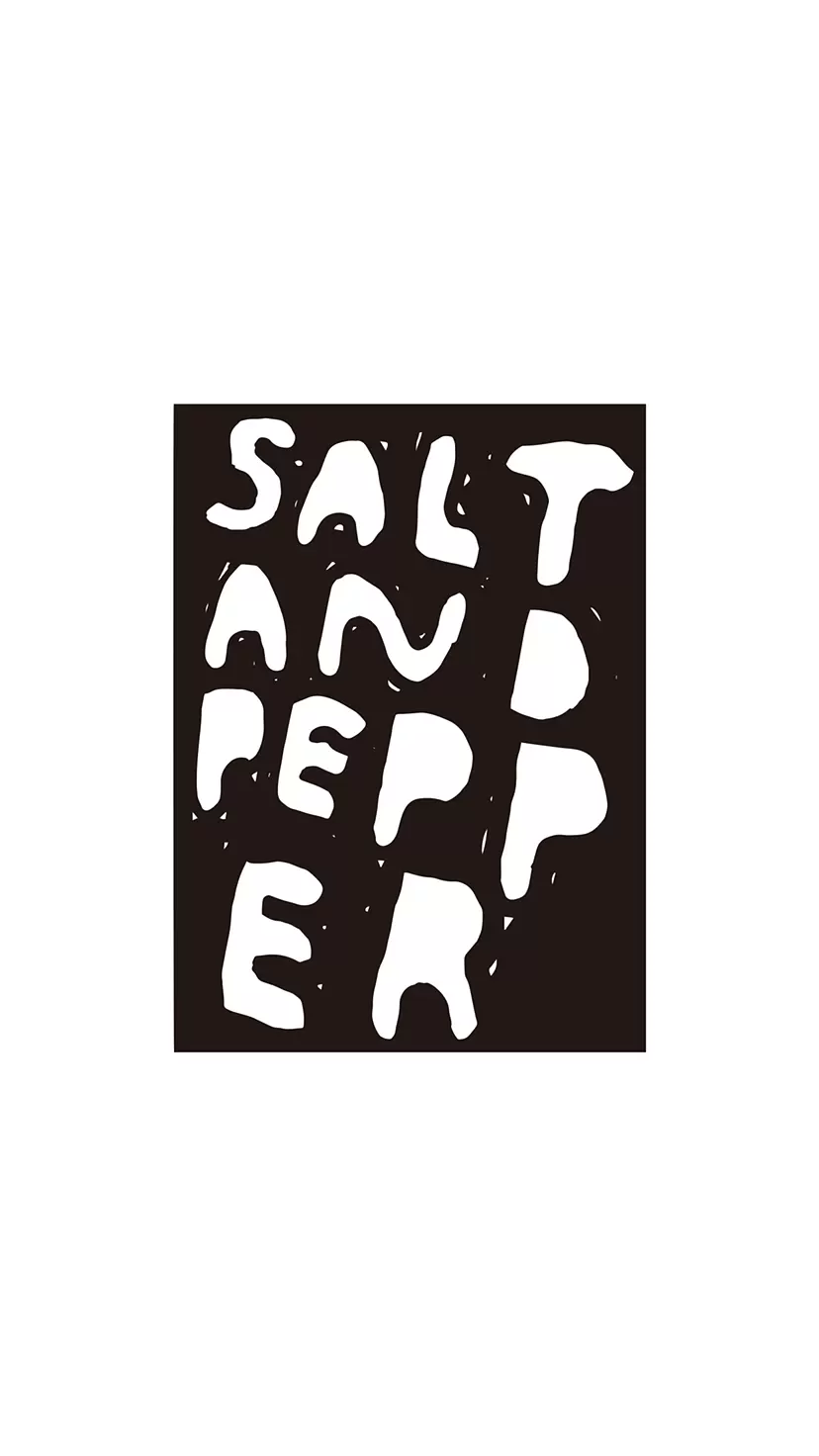 EX-433】SALT AND PEPPER by TOKYO ART BOOK FAIR 2023 | 現代