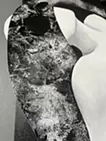 「invisible exciting sloth」