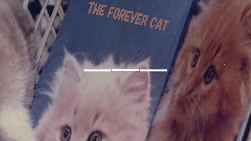 【ZM-549】THREE SPACE/THE FOREVER CAT by TOKYO ART BOOK FAIR