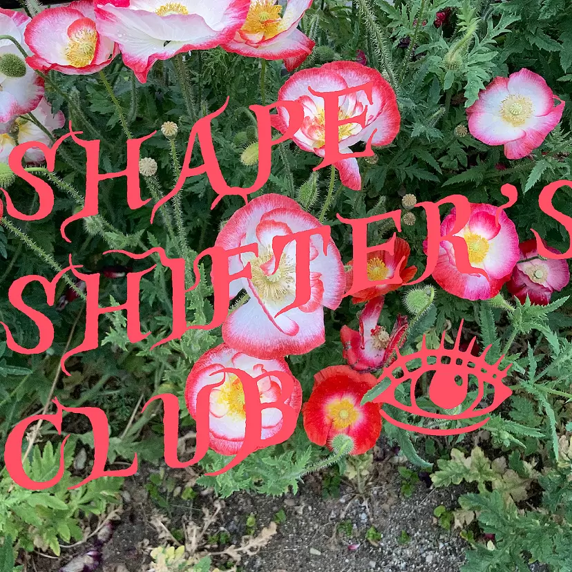 【EN-012】Shape Shifter’s Club by TOKYO ART BOOK FAIR