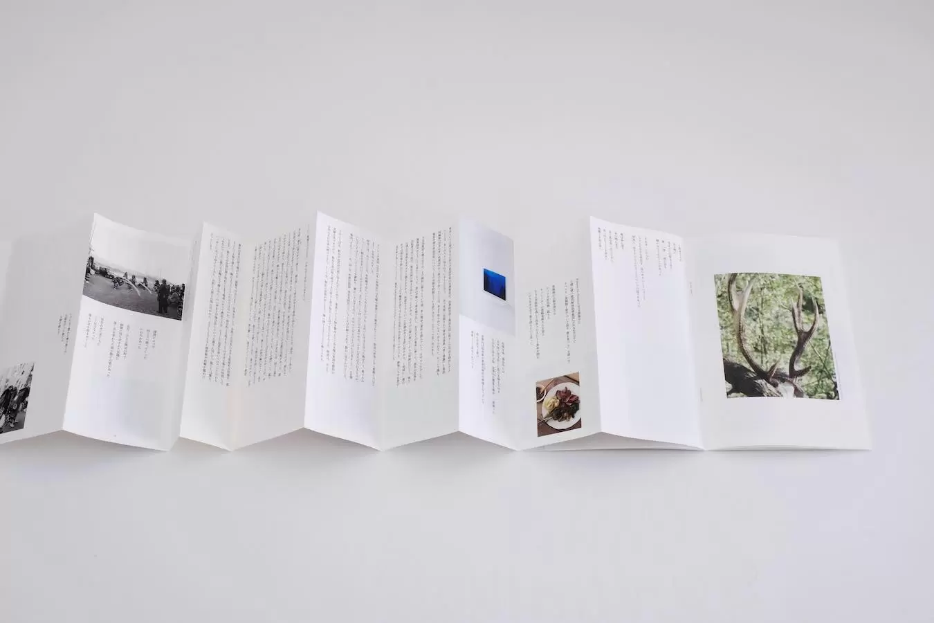 EN-014】handpicked + 津田直 by TOKYO ART BOOK FAIR 2023