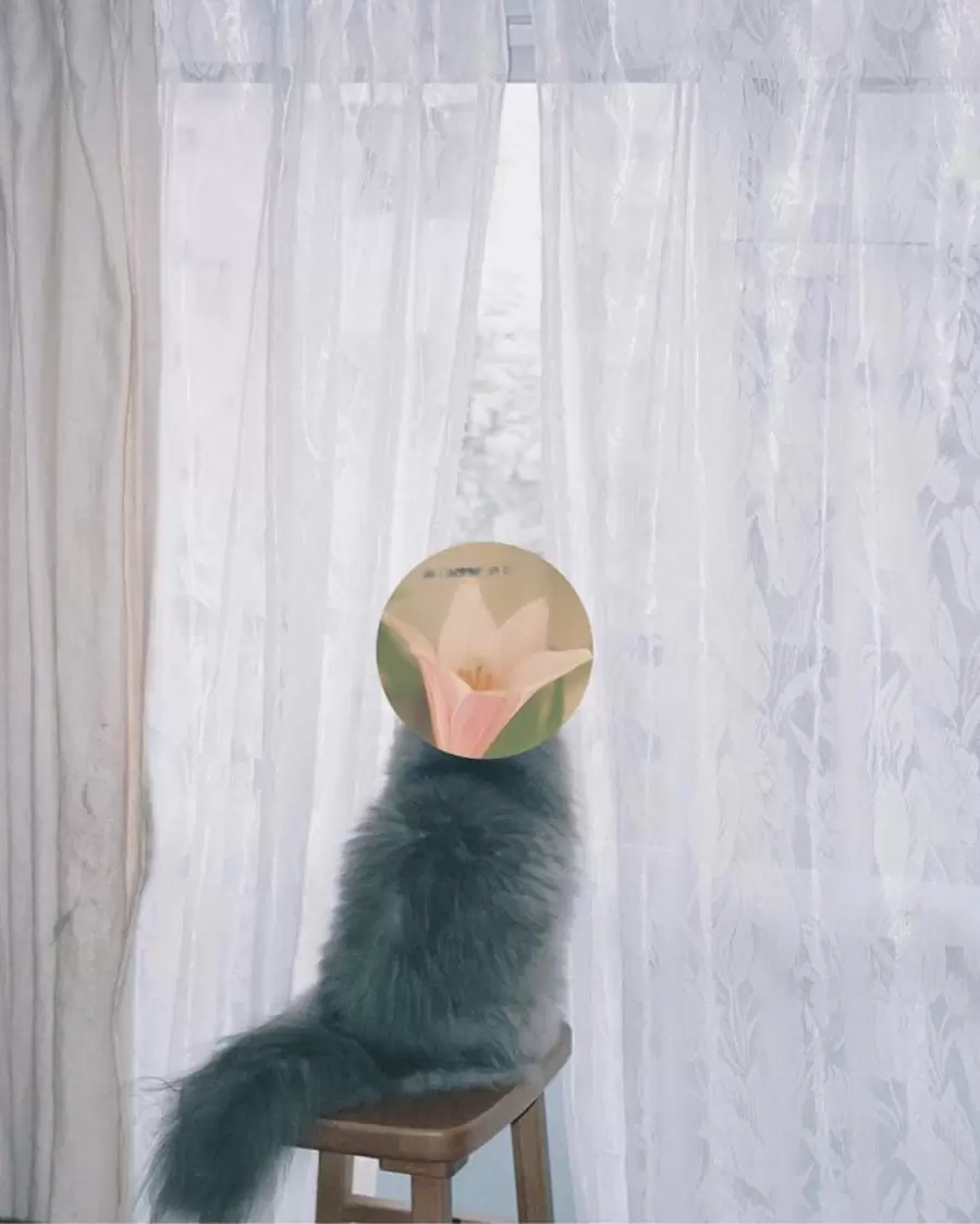 EN-008】People by TS.PHOTO by TOKYO ART BOOK FAIR 2023 | 現代