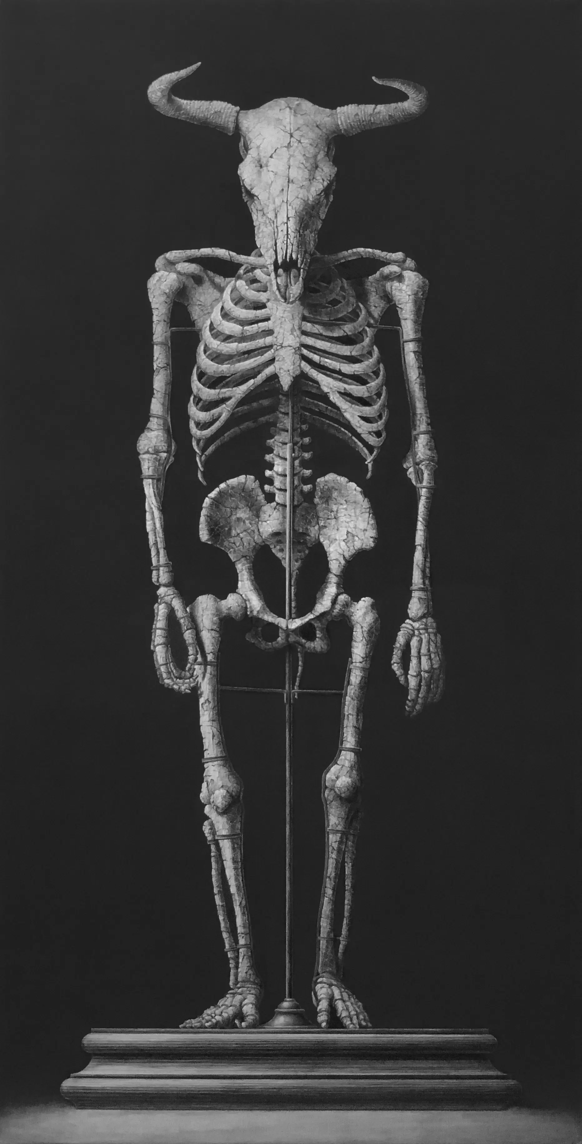 一宮の骨　 ミノタウルスの全身骨格化石図 by 天久 高広 | 現代アートの販売・通販
