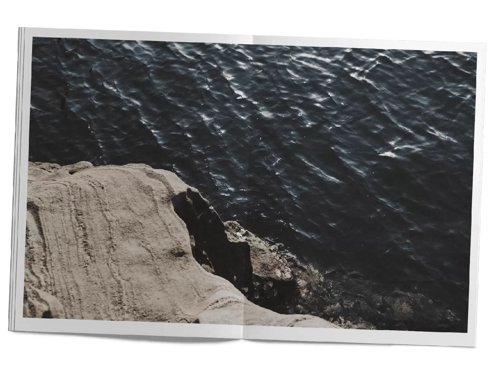 吉田伊佐、「山吹咲く松尾大社」、希少な額装用画集より、新品高級額装付 吉田伊佐、「山吹咲く松尾大社」、希少な額装用画集より、新品