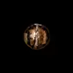Full moon