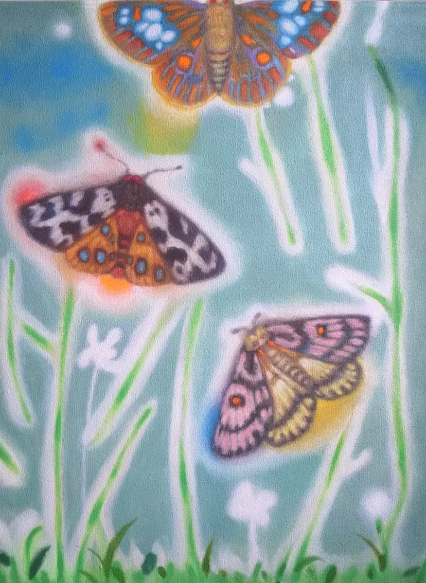 Three moths  by 朝日 聡子