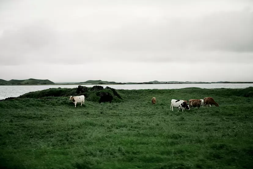 In between - Iceland  by Yoko Naito