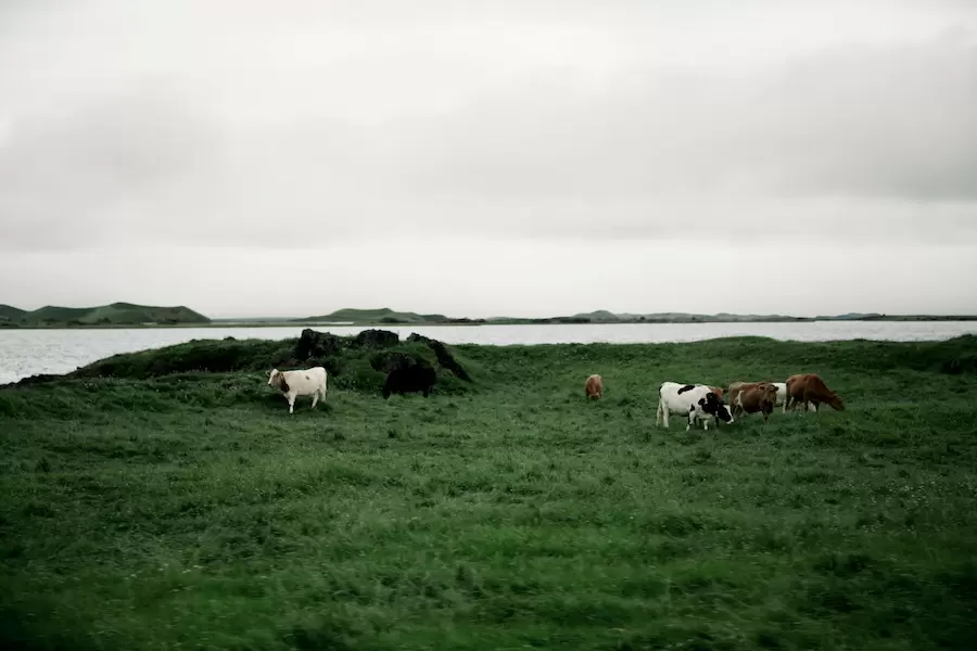 In between - Iceland 