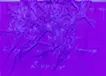 Boundaries -sorrow-