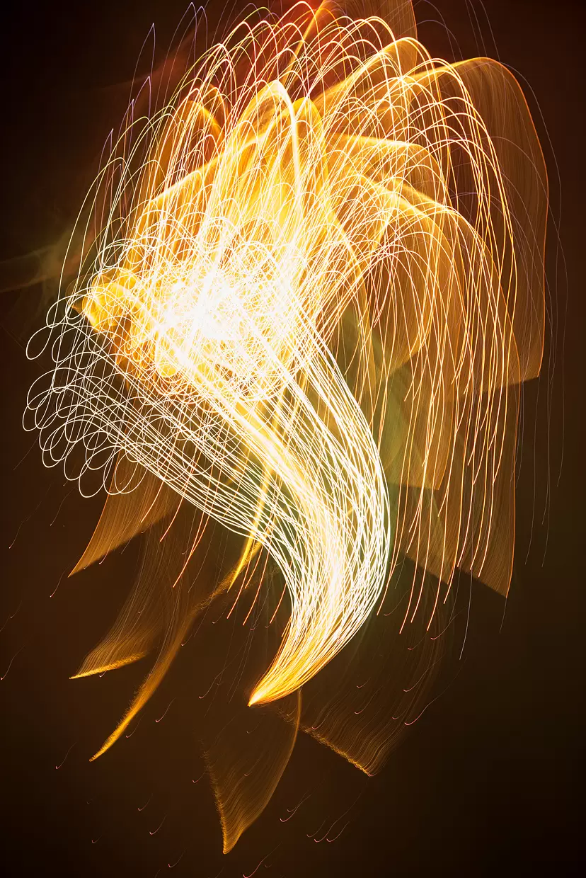 火の鳥#3 ／ Phoenix#3 L1/3・2/3・3/3 by Shota Nagase