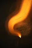 火の鳥#6 ／ Phoenix#6 L1/2