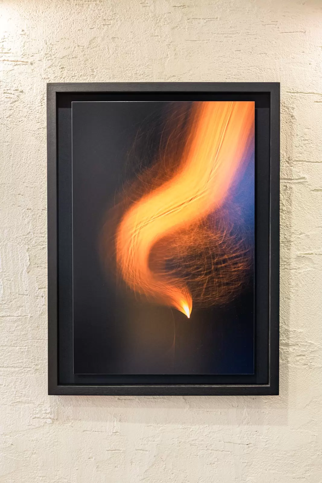 火の鳥#6 ／ Phoenix#6 L1/2 by 長瀬 正太 | 現代アートの販売・通販