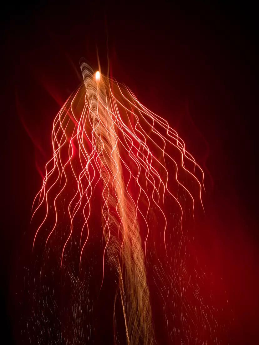 火の鳥#8 ／ Phoenix#8 M1/2 by Shota Nagase