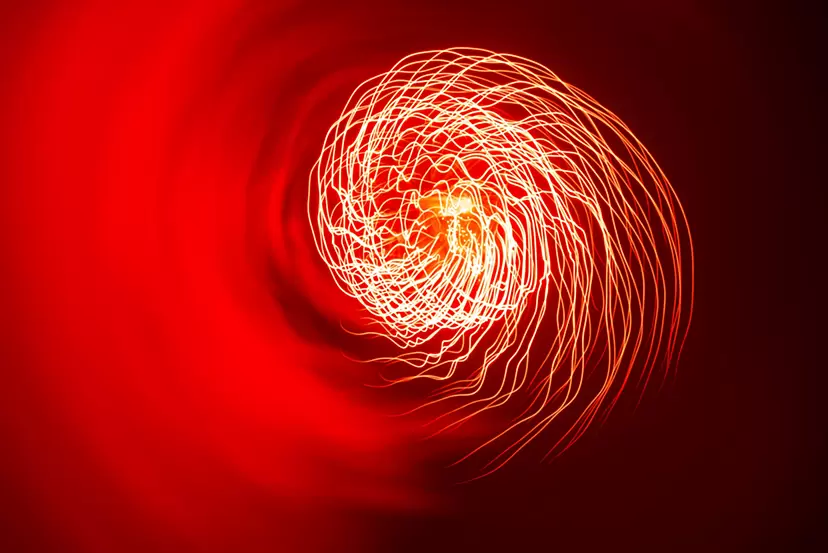 火の鳥#10 ／ Phoenix#10 L2/2 by 長瀬 正太 | 現代アートの販売・通販