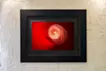 火の鳥#10 / Phoenix#10 M1/2・2/2
