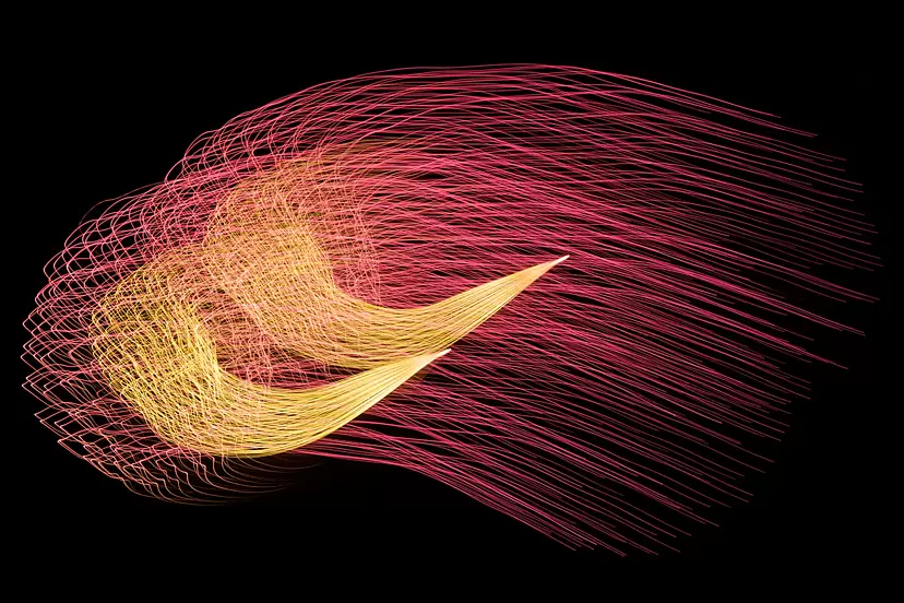 火の鳥#12 ／ Phoenix#12 L2/2 by Shota Nagase