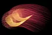 火の鳥#12 ／ Phoenix#12 L2/2